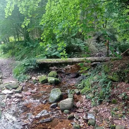 Wood House بيت للعطل تيبيراري