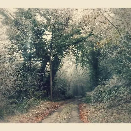 Wood House تيبيراري