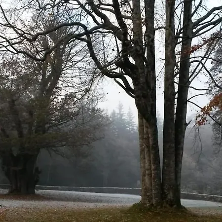 Wood House بيت للعطل *