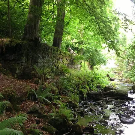 بيت للعطل Wood House تيبيراري