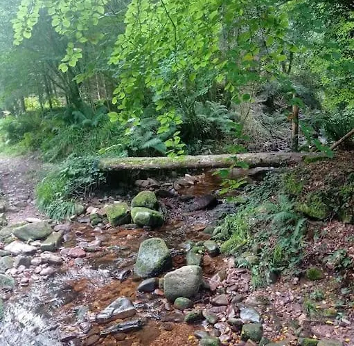 Wood House Semesterbostad Tipperary