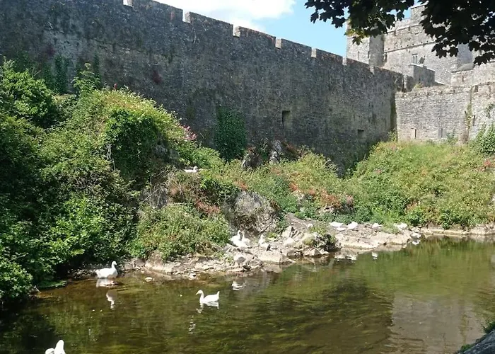 Semesterbostad Wood House Tipperary
