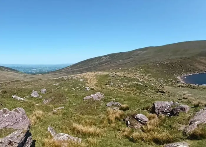 Semesterbostad Wood House Tipperary