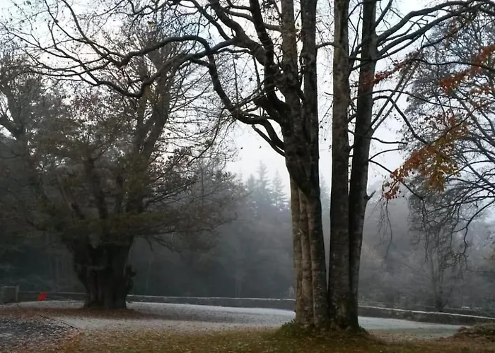 Wood House Semesterbostad *