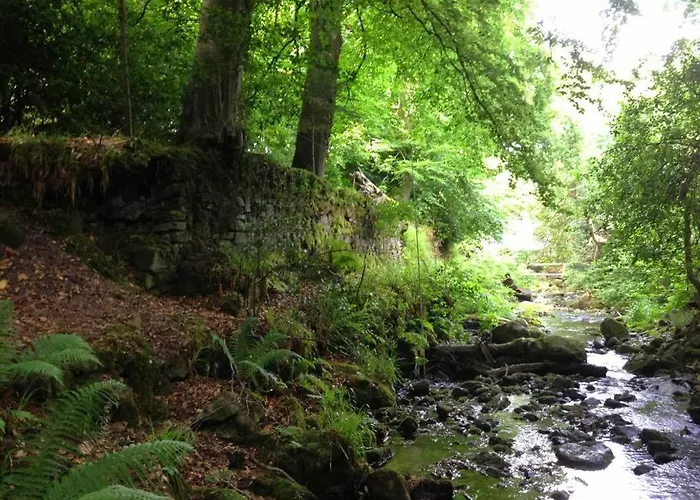 Semesterbostad Wood House Tipperary