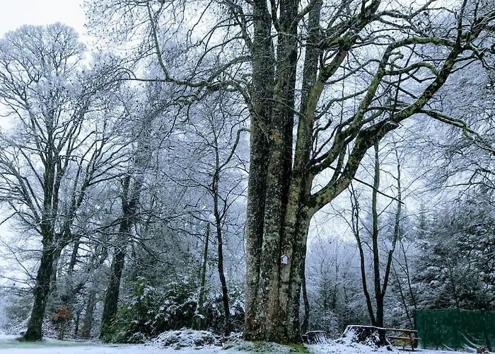 Semesterbostad Wood House Tipperary