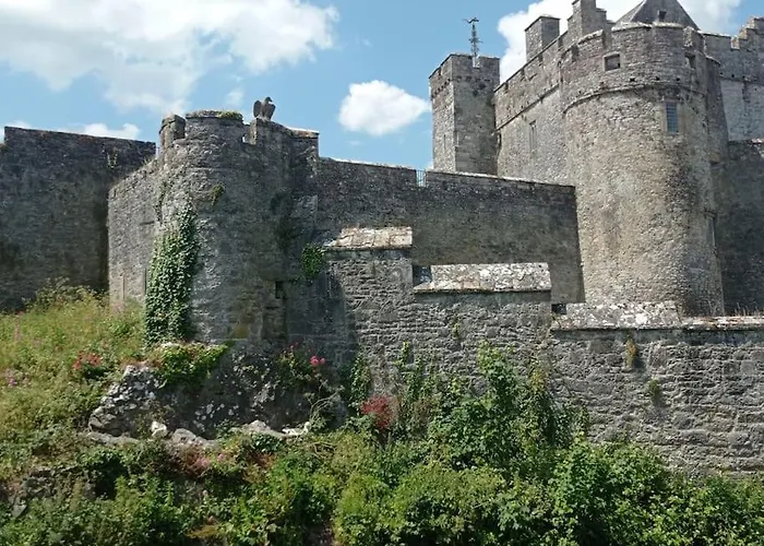 Semesterbostad Wood House Tipperary